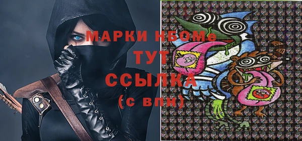 тгк Новодвинск