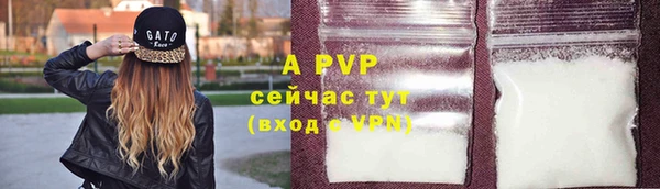 тгк Новодвинск