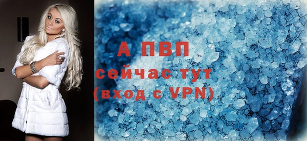тгк Новодвинск