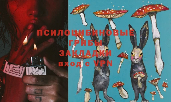 тгк Новодвинск