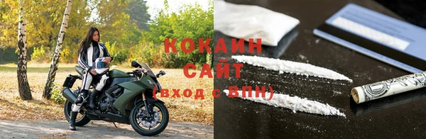 стаф Новозыбков
