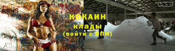 стаф Новозыбков