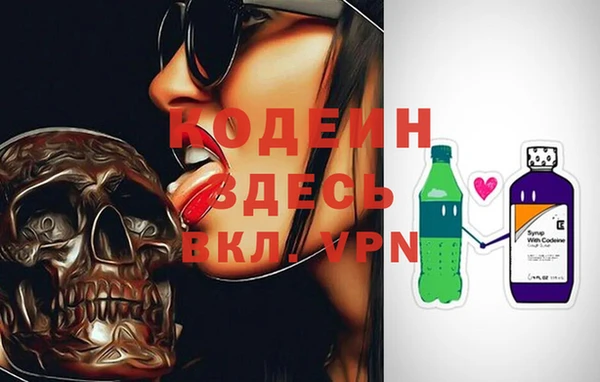 стаф Новозыбков
