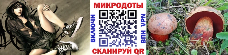 darknet как зайти Мамоново Галлюциногенные грибы Psilocybine cubensis